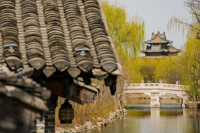 诗里诗外，春天的趵突泉都美翻了 | 人文
