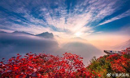 重庆红叶最佳观赏时间表出炉→