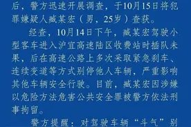 潮评丨高速恶意别车被刑拘，让漠视规则者付出应有的代价图片