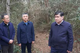帕塔尔·胡加买提来鄱阳督导林业重点工作图片