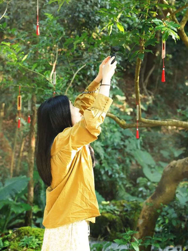 行摄 | 美爆了！秋日花海，限时上映