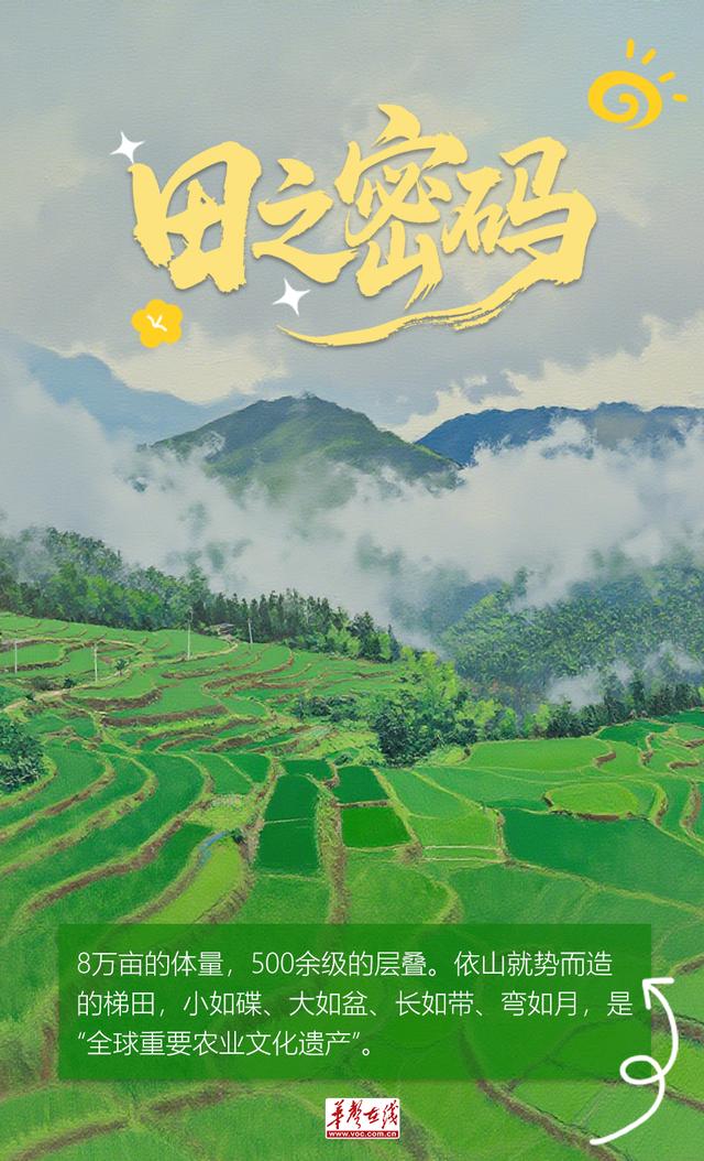 【AI海报】紫鹊界，讲给世界的密语