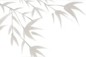 【文化和自然遗产日】司法邂逅非遗，守住传统文化“根”与“魂”图片