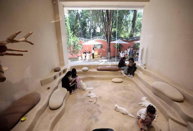 新型文化空间丨昆明市百里·春秋城市会客厅：“老场馆”焕发新面貌