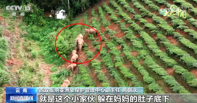 点“绿”成金让生态“颜值”变为文旅“价值” 夏日经济迸发新活力