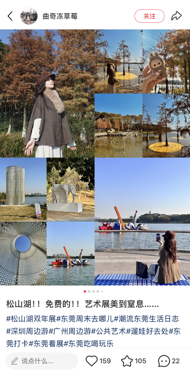 最美松湖｜双年展进入最后倒计时！与绝美落羽杉同框时机就在本周→