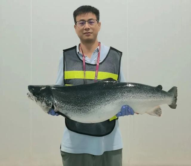 郑州航空港，真不只会“飞”！