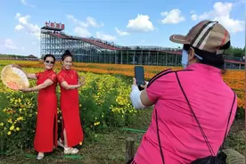齐齐哈尔市梅里斯达斡尔族区坚持绿色发展以生态美推动产业兴图片