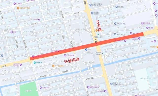 史铁生笔下的栾树，在南桥原来是这样的→