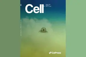 探索“生命禁区”，中国科学家绘制首个海洋最深生态系统图图片