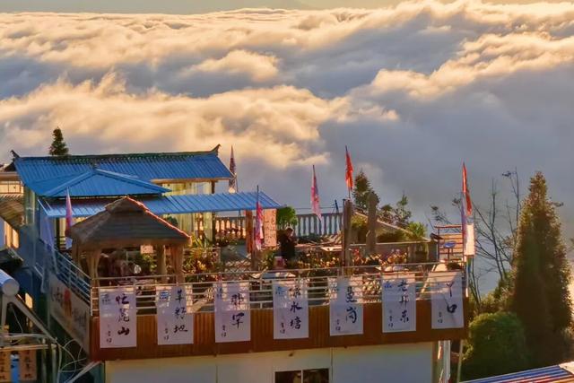 遇见临沧 如回故乡 | 这里的一叶茶、一朵云，让他们从“看一眼”到“留下来”