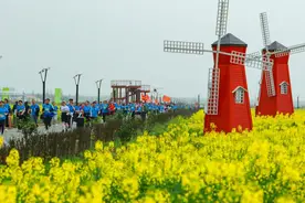 奔跑在花海中，2024湖南南县罗文花海马拉松即将开赛图片