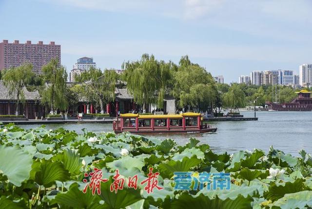 一年四季 泉在济南丨秋游大明湖，画舫入画来