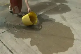 世界蚊子日丨注意，家里这些地方正悄悄“养”出蚊子图片