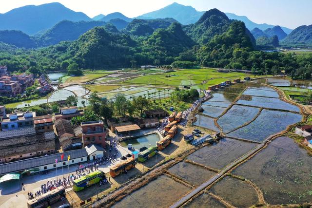 茶香漫溢山间！英德特色化发展刷新“文旅流量”