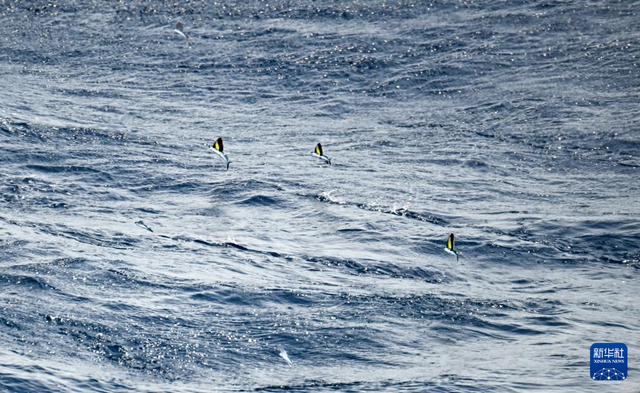 南海影像日志丨南海美如画