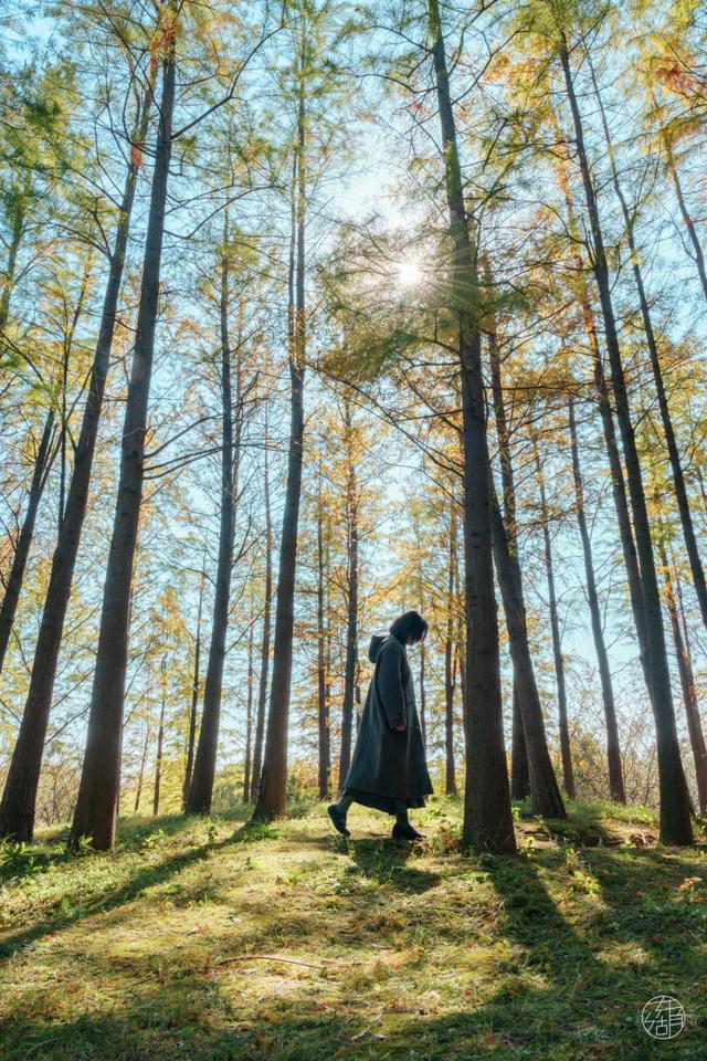 人少景美不绕路，东湖秋日彩蛋上新