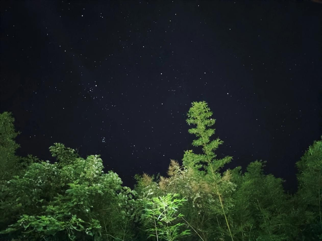 进山疗愈，这届年轻人在定义一种新旅行