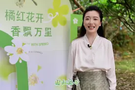 橘红花开，周末赴一场春日之约！图片