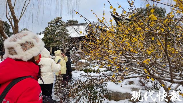 初雪如约而至，游客瘦西湖里踏雪寻梅
