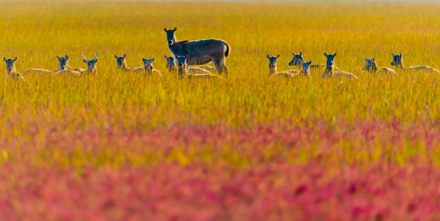 大雪了，你什么时候回盐城啊？