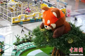 巨型小熊猫亮相昆明商场图片