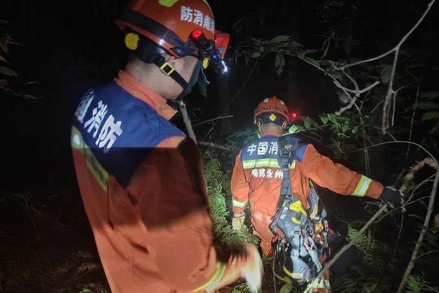 结伴登山被“刺客”追着咬！一成年男子倒地昏迷