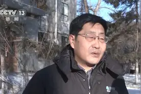 圆明园小黑天鹅怎么度过极寒天？帮助它们越冬是否可行？专家这么说→图片