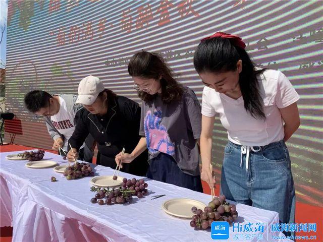 串串葡萄、甜了秋天！第十五届威海汪疃葡萄文化旅游节热闹开场