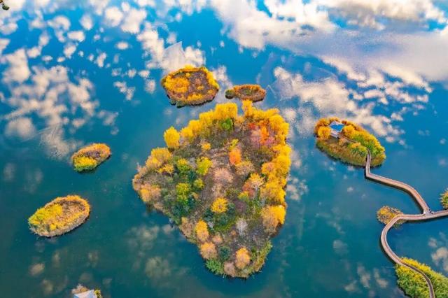 冬日尤恋秋景韵——省耕国学文化公园美如调色板的视觉盛宴