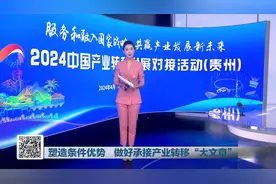 贵州制造丨塑造条件优势，做好承接产业转移“大文章”图片