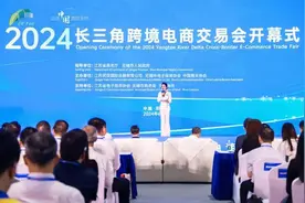 跨越山海，联通世界 无锡举办2024长三角跨境电商交易会图片