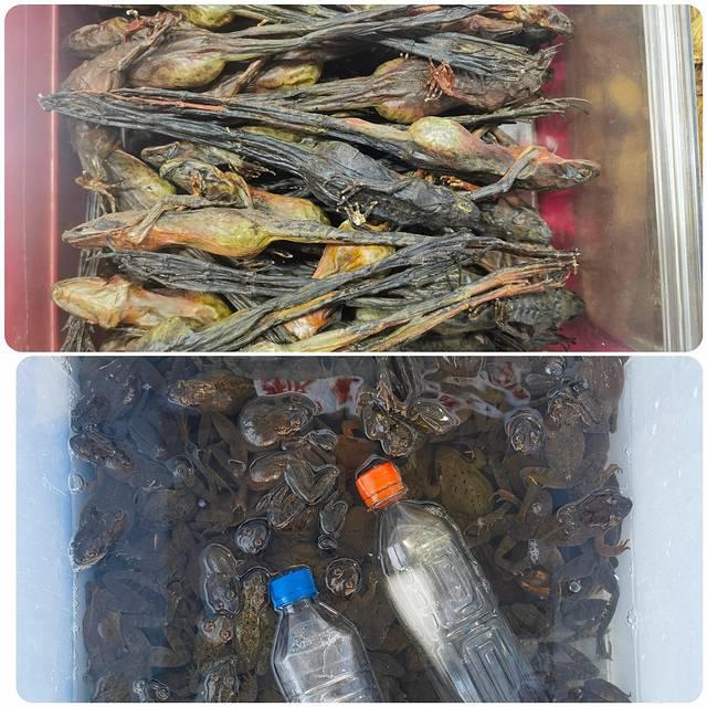 走进延边：长白山天池、延吉、图们、珲春行记