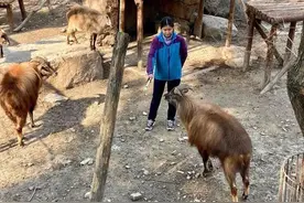 潮评丨剑桥硕士当动物饲养员，“我喜欢”就不是“大材小用”图片