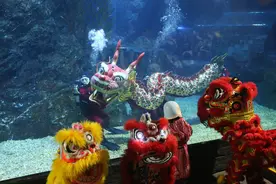 泰国曼谷：水下舞龙迎新春图片
