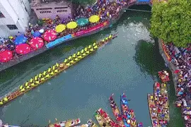 广东人的端午DNA动了 “老板，我要请假回村扒(pá)龙舟”图片