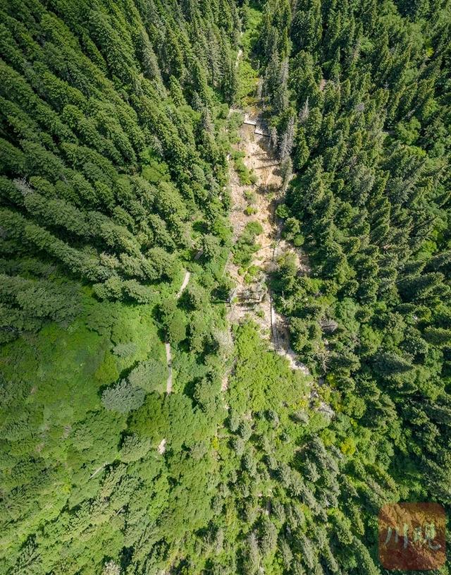 高原比“高”|黑水这个村为啥涌现210余名高山向导