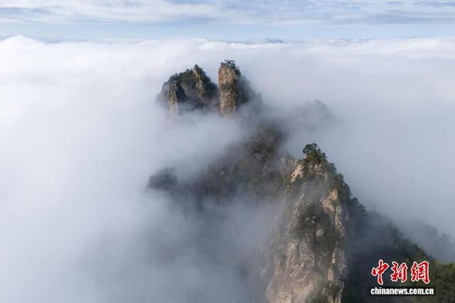 河南南阳：老界岭现秋日云海景观