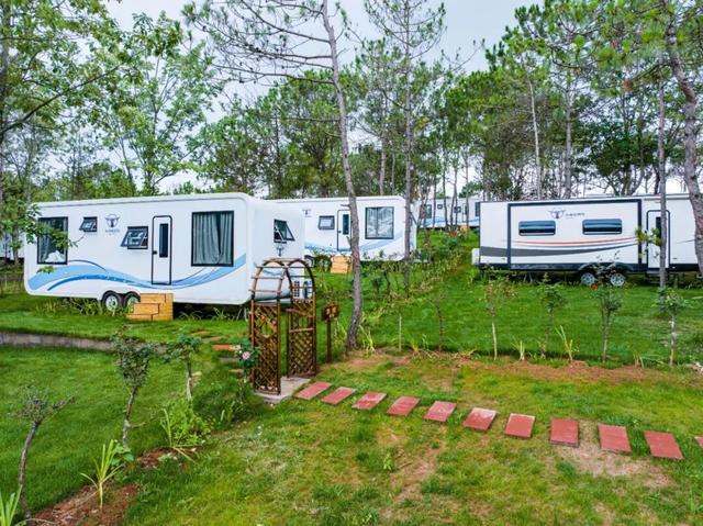 赏花图鉴｜迤谷花海，藏在宣威永安的田园诗行