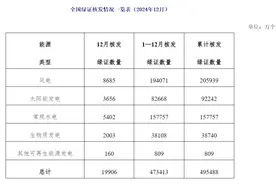 国家能源局发布重要数据图片