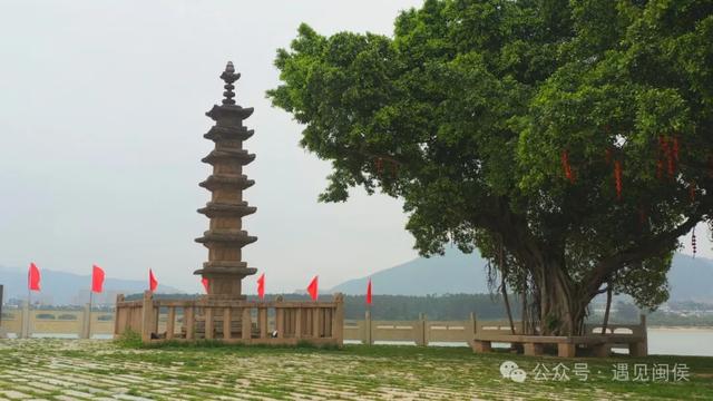 锁定直播间！明日下午3点起，带你畅游魅力上街