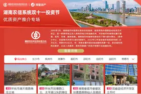 湖南农信系统携手阿里资产 双11优质资产推介会举行图片