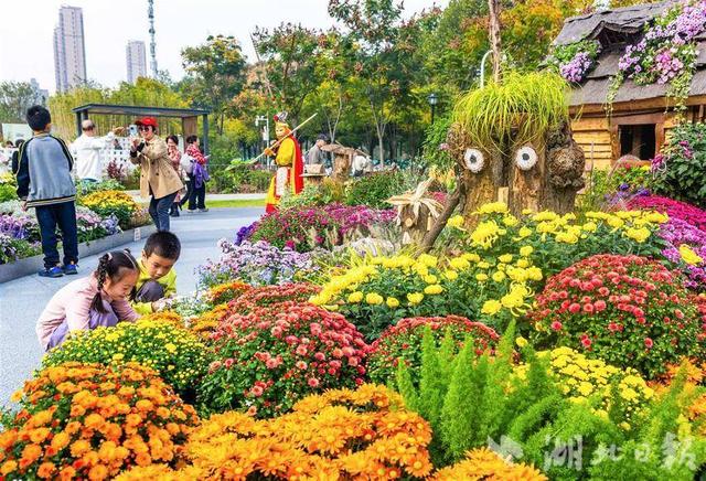 现场火爆！武汉今秋最大花展开幕