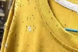 街坊注意！这种小虫子又来啦！穿衣服请调整一下图片