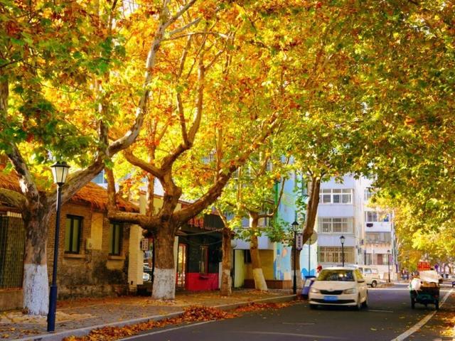 从1902年美到现在！威海这条870米的老街最近又有人扎堆了