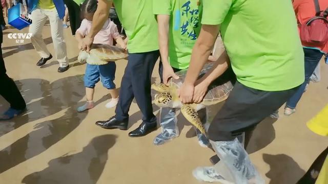 在这部纪录片里,一起去海南环岛旅游公路慢旅行