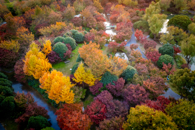 金山人宣布！这条宝藏线路将是“上海旅超”秋冬名场面!