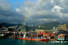 逾1.4万名海事精英聚首香江，促航运产业“航向绿色未来”图片