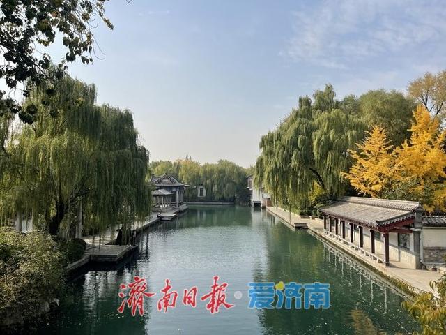 层林尽染入眼皆画 大明湖的初冬“皮肤”已上线