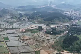 岑巩县水尾镇：田间移栽绘新景 “稻”路生金促增收图片